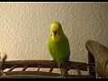 ��������� ����������