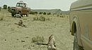 No country for old man