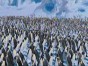 walk it out vs.  happy feet