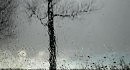 PJ Harvey - Hanging In The Wire