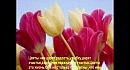 For you
