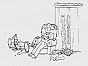 Simon's Cat in Fly Guy