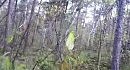 ����� �� ������ �����