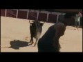 Footbulls - ����� ��� ������