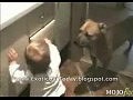 ������ �������� � ������� - �������