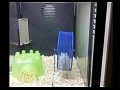 ���������� �����