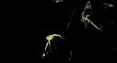 [AMATORY] - ������������ ������ �������