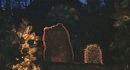 Stalker  �������� ������