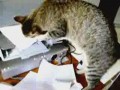 �������� � ��������� :-)