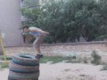 ����