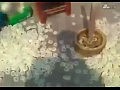 ���: ��� ����������� ������������