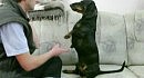 ������ ���� ����