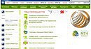 Masterforex-V:  ������� �� ����������� ��������� ������� ��� ��������� ������?