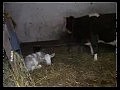 �� ���� ��������� ��������� �������