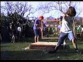 Pulled Apart By Horses - Wolf Hand
