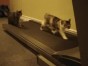 ����� �� ���������:)