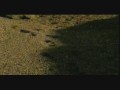 a-ha - Summer Moved On (Wide)