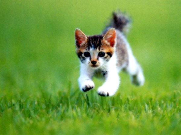 В СУББОТУ УЕЗЖАЮ С УТРА!