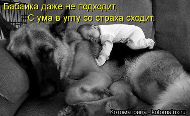 Лучшие котоматрицы недели
