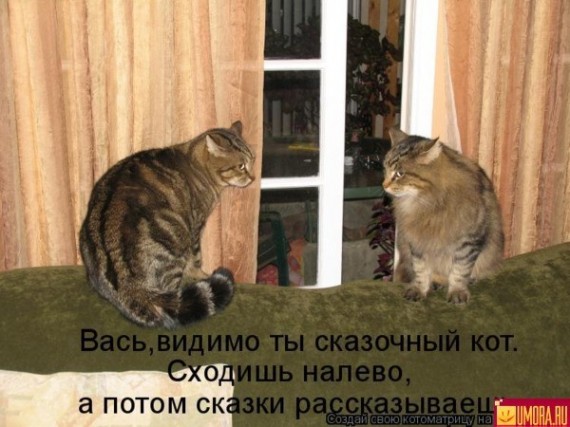 http://bm.img.com.ua/img/prikol/images/large/6/6/161466_294696.jpg