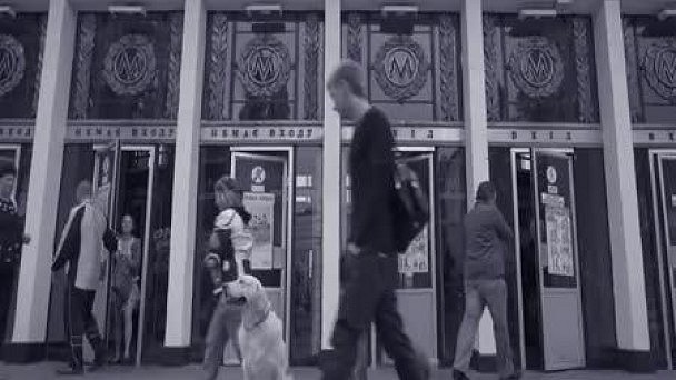 Картинка 13 из 130